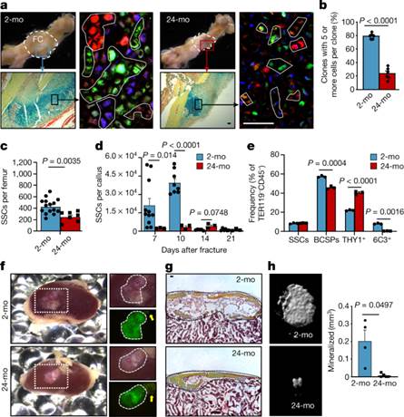 说明: https://media.springernature.com/lw685/springer-static/image/art%3A10.1038%2Fs41586-021-03795-7/MediaObjects/41586_2021_3795_Fig1_HTML.png