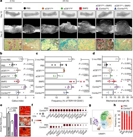 说明: https://media.springernature.com/lw685/springer-static/image/art%3A10.1038%2Fs41586-021-03795-7/MediaObjects/41586_2021_3795_Fig4_HTML.png